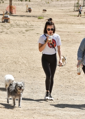 DogPark190918-031.jpg