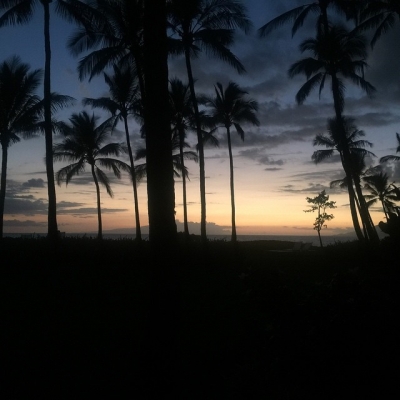 LHBR0355.jpg