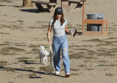 dogpark111023-009.jpg