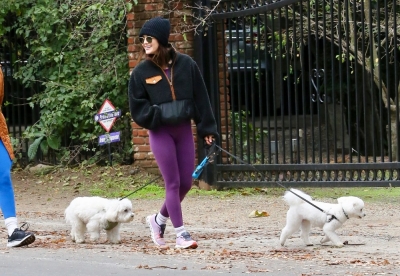 dogsla070123-002.JPG