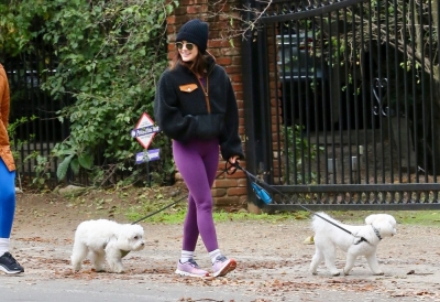 dogsla070123-011.JPG