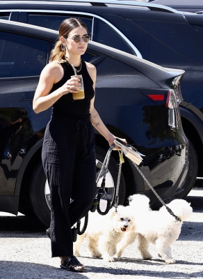dogsla230423-001.jpg