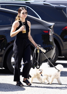 dogsla230423-005.jpg