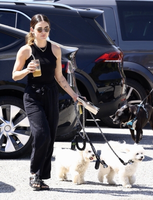 dogsla230423-011.jpg