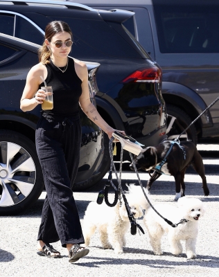 dogsla230423-012.jpg