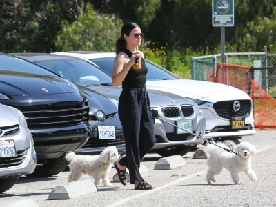 dogsla230423-015.jpg