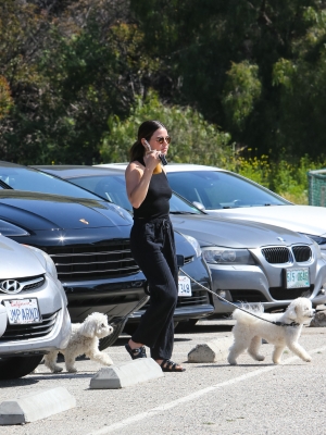 dogsla230423-016.jpg
