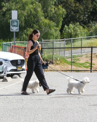 dogsla230423-017.jpg