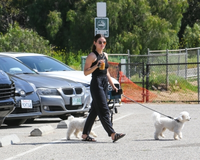 dogsla230423-018.jpg