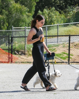 dogsla230423-020.jpg
