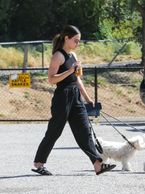 dogsla230423-021.jpg
