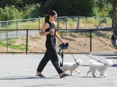 dogsla230423-022.jpg