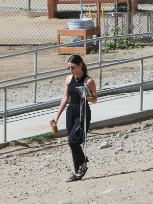 dogsla230423-026.jpg