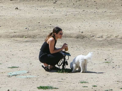 dogsla230423-032.jpg
