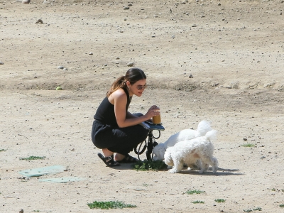dogsla230423-033.jpg