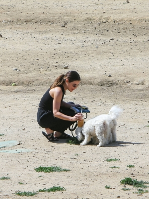 dogsla230423-034.jpg