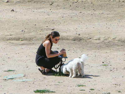 dogsla230423-036.jpg
