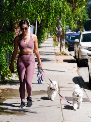 dogsla250422-006.jpg