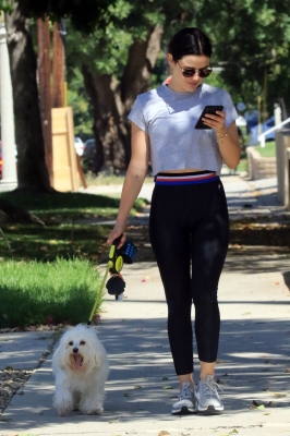 elvisla280719-029.jpg