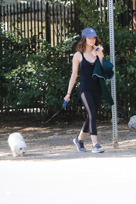 HQ
