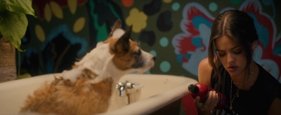 puppylovelhbr-129.jpg