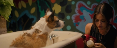 puppylovelhbr-130.jpg