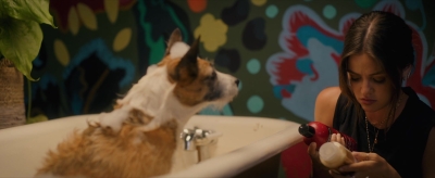 puppylovelhbr-131.jpg