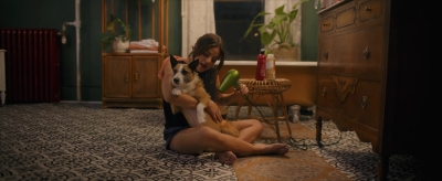 puppylovelhbr-137.jpg
