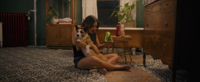 puppylovelhbr-138.jpg
