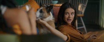 puppylovelhbr-189.jpg