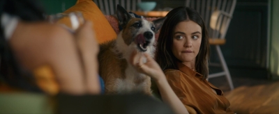 puppylovelhbr-190.jpg
