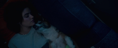 puppylovelhbr-558.jpg