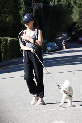 walkingdogsla211123-002.JPG