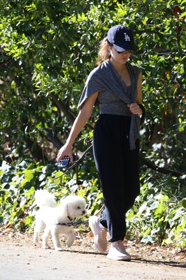 walkingdogsla211123-017.JPG