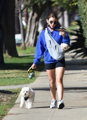 walkingherdogsinla110221_001.jpg