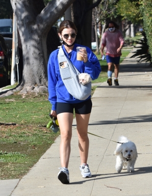 walkingherdogsinla110221_002.jpg