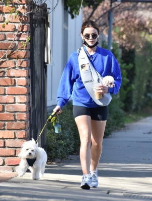 walkingherdogsinla110221_013.jpg