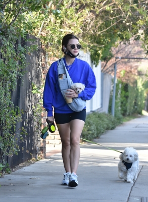walkingherdogsinla110221_019.jpg