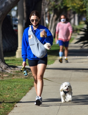 walkingherdogsinla110221_029.jpg