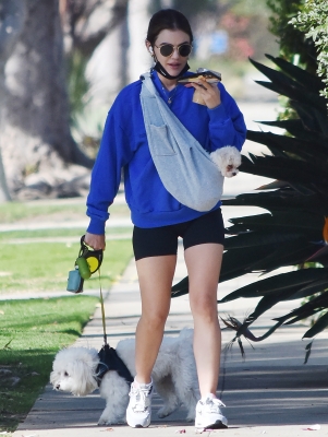 walkingherdogsinla110221_039.jpg
