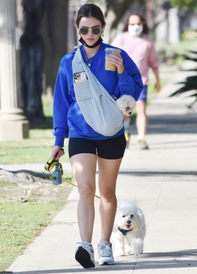 walkingherdogsinla110221_046.jpg