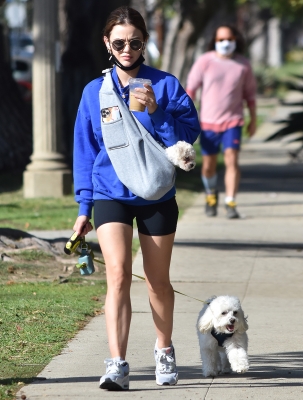 walkingherdogsinla110221_047.jpg