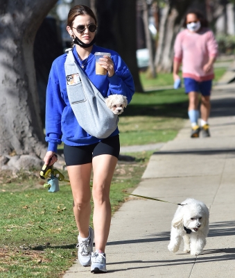 walkingherdogsinla110221_048.jpg