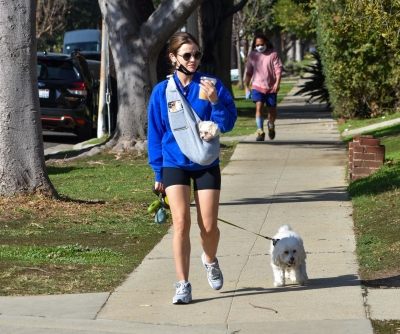 walkingherdogsinla110221_056.jpg