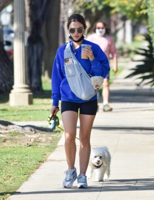 walkingherdogsinla110221_060.jpg