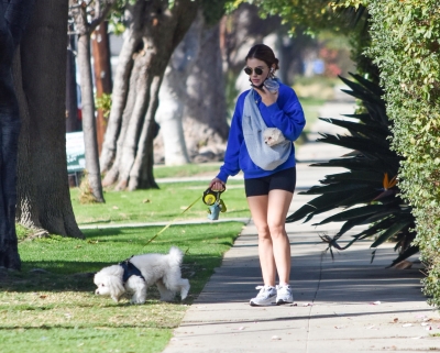 walkingherdogsinla110221_061.jpg