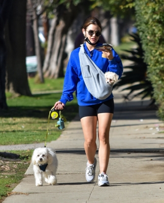 walkingherdogsinla110221_065.jpg