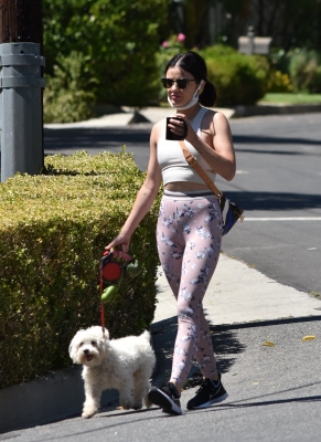 walkinginhollywood140520_021.jpg