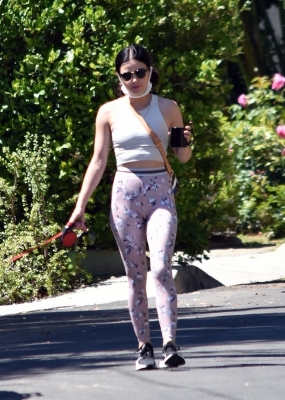walkinginhollywood140520_025.jpg