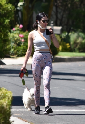 walkinginhollywood140520_031.jpg